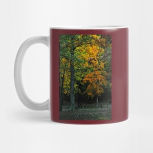 Murphysboro Lake (9) Mug